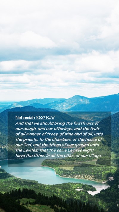 Picture 02 - Nehemiah 10:37 KJV Mobile Phone Wallpaper - And that we should bring the firstfruits of our - Mobile Bible Verse Wallpaper