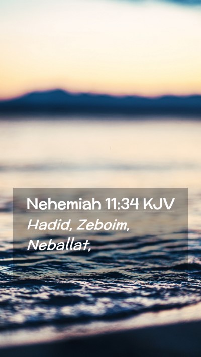 Picture 02 - Nehemiah 11:34 KJV Mobile Phone Wallpaper - Hadid, Zeboim, - Mobile Bible Verse Wallpaper