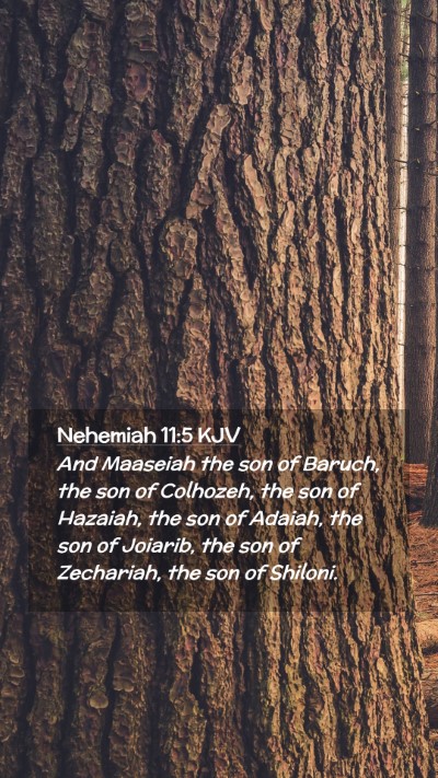 Picture 02 - Nehemiah 11:5 KJV Mobile Phone Wallpaper - And Maaseiah the son of Baruch, the son of - Mobile Bible Verse Wallpaper