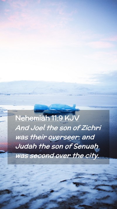Picture 02 - Nehemiah 11:9 KJV Mobile Phone Wallpaper - And Joel the son of Zichri was their overseer: - Mobile Bible Verse Wallpaper