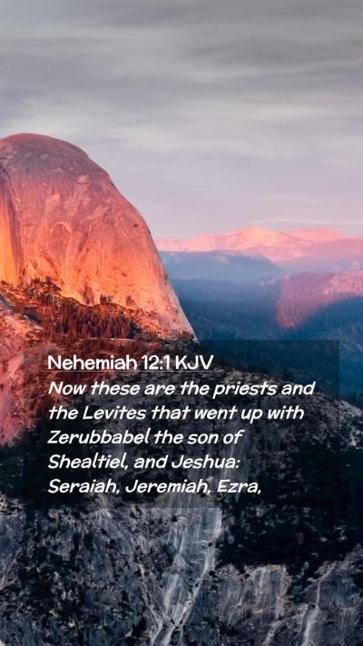 Picture 02 - Nehemiah 12:1 KJV Mobile Phone Wallpaper - Now these are the priests and the Levites that - Mobile Bible Verse Wallpaper