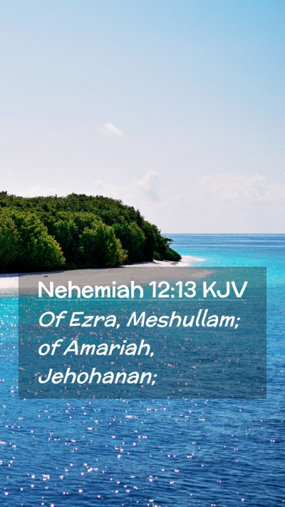 Picture 02 - Nehemiah 12:13 KJV Mobile Phone Wallpaper - Of Ezra, Meshullam; of Amariah, - Mobile Bible Verse Wallpaper