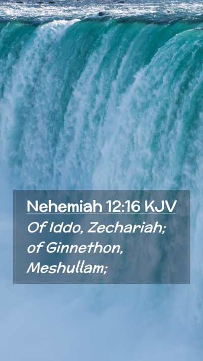 Picture 02 - Nehemiah 12:16 KJV Mobile Phone Wallpaper - Of Iddo, Zechariah; of Ginnethon, - Mobile Bible Verse Wallpaper