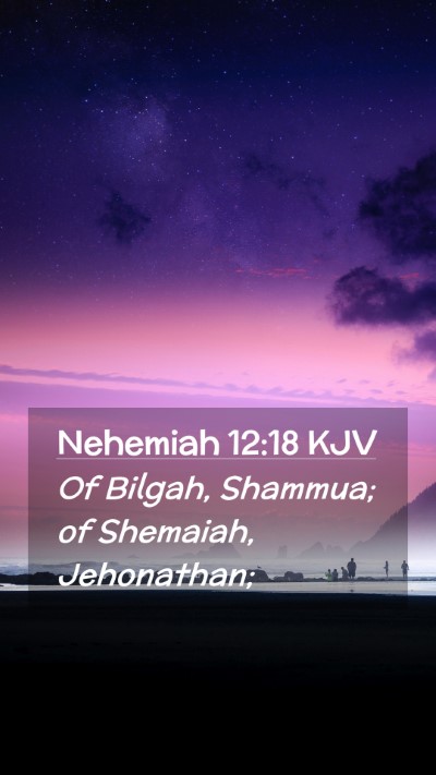 Picture 02 - Nehemiah 12:18 KJV Mobile Phone Wallpaper - Of Bilgah, Shammua; of Shemaiah, - Mobile Bible Verse Wallpaper