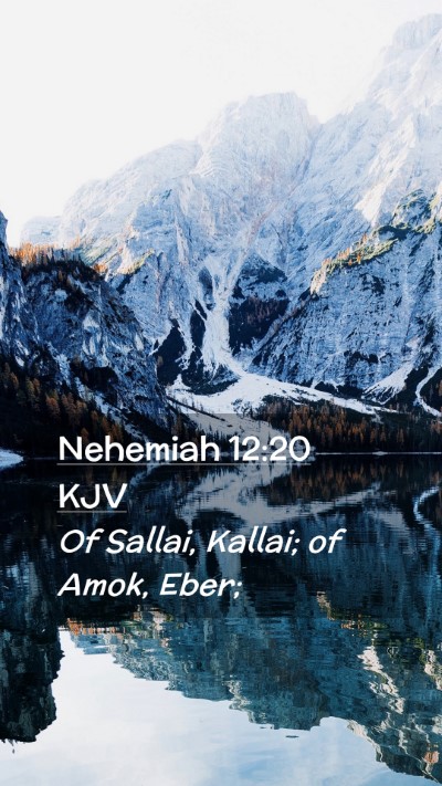 Picture 02 - Nehemiah 12:20 KJV Mobile Phone Wallpaper - Of Sallai, Kallai; of Amok, - Mobile Bible Verse Wallpaper