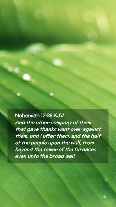 Picture 02 - Nehemiah 12:38 KJV Mobile Phone Wallpaper - And the other company of them that gave thanks - Mobile Bible Verse Wallpaper