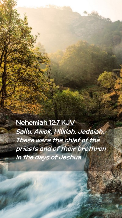 Picture 02 - Nehemiah 12:7 KJV Mobile Phone Wallpaper - Sallu, Amok, Hilkiah, Jedaiah. These were the - Mobile Bible Verse Wallpaper