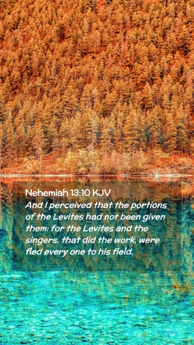 Picture 02 - Nehemiah 13:10 KJV Mobile Phone Wallpaper - And I perceived that the portions of the Levites - Mobile Bible Verse Wallpaper
