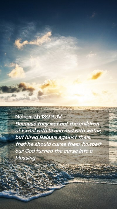 Picture 02 - Nehemiah 13:2 KJV Mobile Phone Wallpaper - Because they met not the children of Israel with - Mobile Bible Verse Wallpaper