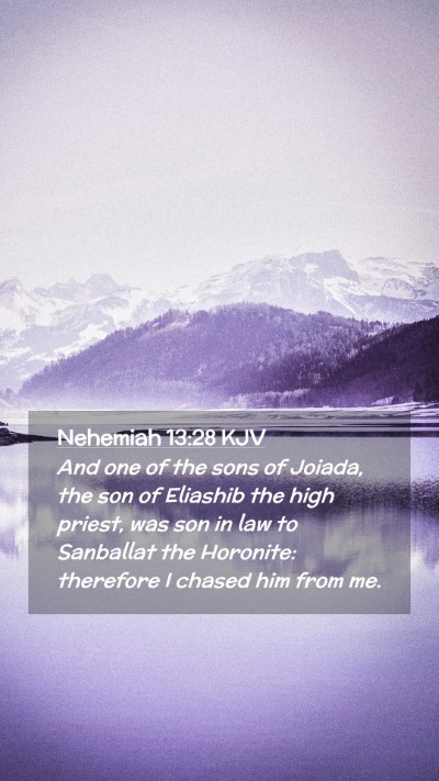 Picture 02 - Nehemiah 13:28 KJV Mobile Phone Wallpaper - And one of the sons of Joiada, the son of - Mobile Bible Verse Wallpaper