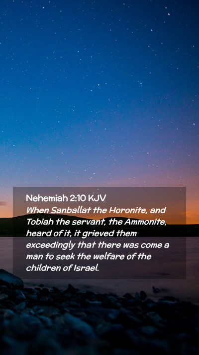 Picture 02 - Nehemiah 2:10 KJV Mobile Phone Wallpaper - When Sanballat the Horonite, and Tobiah the - Mobile Bible Verse Wallpaper