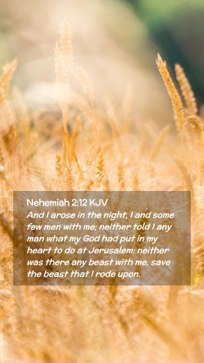 Picture 02 - Nehemiah 2:12 KJV Mobile Phone Wallpaper - And I arose in the night, I and some few men with - Mobile Bible Verse Wallpaper