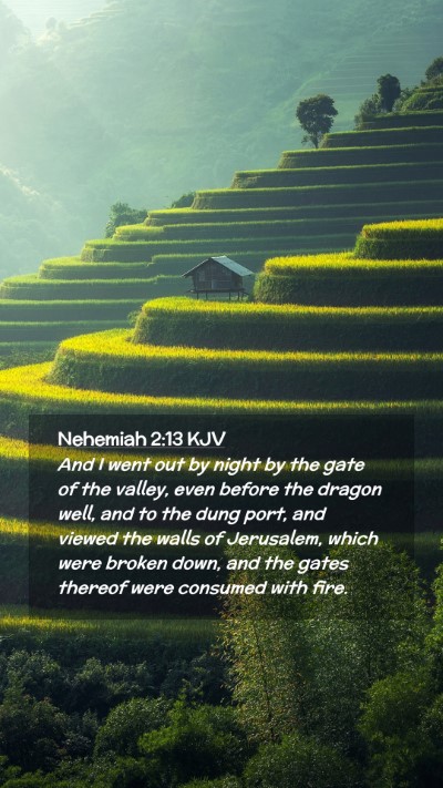 Picture 02 - Nehemiah 2:13 KJV Mobile Phone Wallpaper - And I went out by night by the gate of the - Mobile Bible Verse Wallpaper