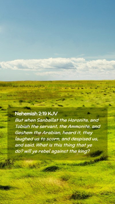 Picture 02 - Nehemiah 2:19 KJV Mobile Phone Wallpaper - But when Sanballat the Horonite, and Tobiah the - Mobile Bible Verse Wallpaper