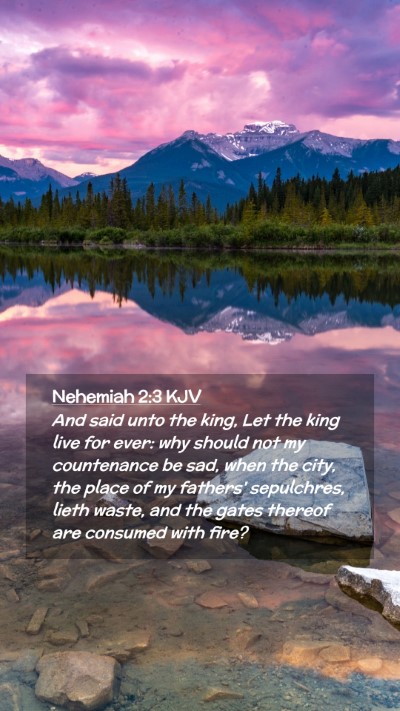 Picture 02 - Nehemiah 2:3 KJV Mobile Phone Wallpaper - And said unto the king, Let the king live for - Mobile Bible Verse Wallpaper