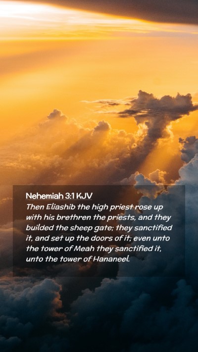 Picture 02 - Nehemiah 3:1 KJV Mobile Phone Wallpaper - Then Eliashib the high priest rose up with his - Mobile Bible Verse Wallpaper