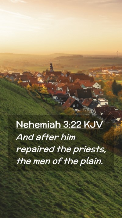 Picture 02 - Nehemiah 3:22 KJV Mobile Phone Wallpaper - And after him repaired the priests, the men of - Mobile Bible Verse Wallpaper