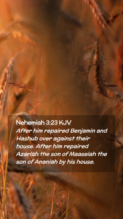 Picture 02 - Nehemiah 3:23 KJV Mobile Phone Wallpaper - After him repaired Benjamin and Hashub over - Mobile Bible Verse Wallpaper