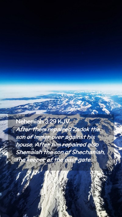 Picture 02 - Nehemiah 3:29 KJV Mobile Phone Wallpaper - After them repaired Zadok the son of Immer over - Mobile Bible Verse Wallpaper