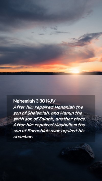 Picture 02 - Nehemiah 3:30 KJV Mobile Phone Wallpaper - After him repaired Hananiah the son of Shelemiah, - Mobile Bible Verse Wallpaper