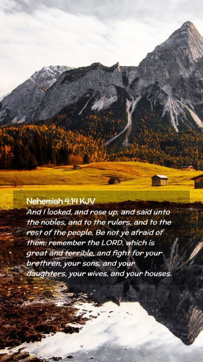 Picture 02 - Nehemiah 4:14 KJV Mobile Phone Wallpaper - And I looked, and rose up, and said unto the - Mobile Bible Verse Wallpaper