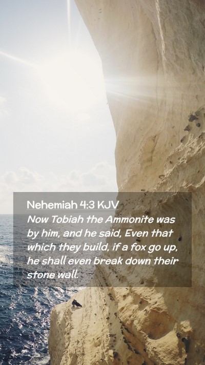 Picture 02 - Nehemiah 4:3 KJV Mobile Phone Wallpaper - Now Tobiah the Ammonite was by him, and he said, - Mobile Bible Verse Wallpaper