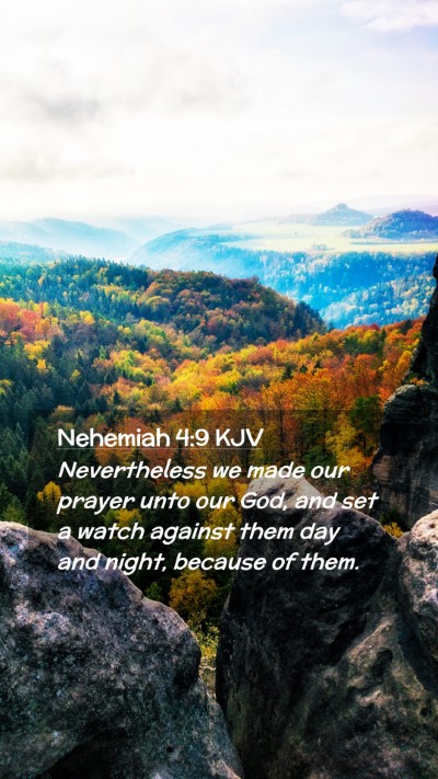 Picture 02 - Nehemiah 4:9 KJV Mobile Phone Wallpaper - Nevertheless we made our prayer unto our God, and - Mobile Bible Verse Wallpaper