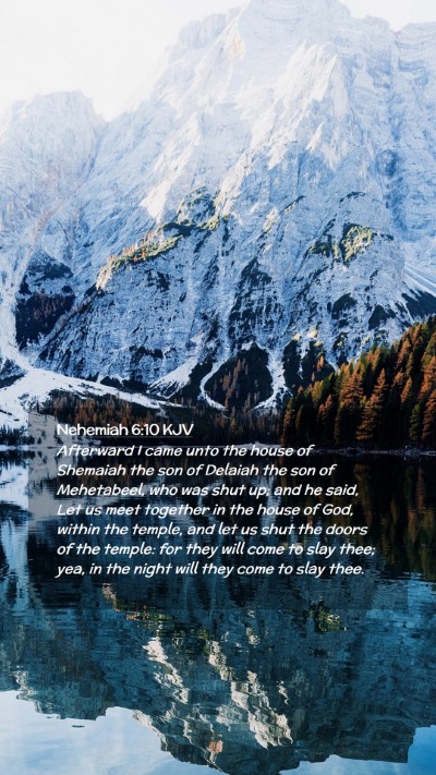 Picture 02 - Nehemiah 6:10 KJV Mobile Phone Wallpaper - Afterward I came unto the house of Shemaiah the - Mobile Bible Verse Wallpaper