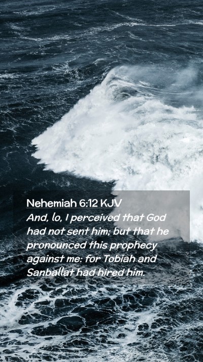 Picture 02 - Nehemiah 6:12 KJV Mobile Phone Wallpaper - And, lo, I perceived that God had not sent him; - Mobile Bible Verse Wallpaper
