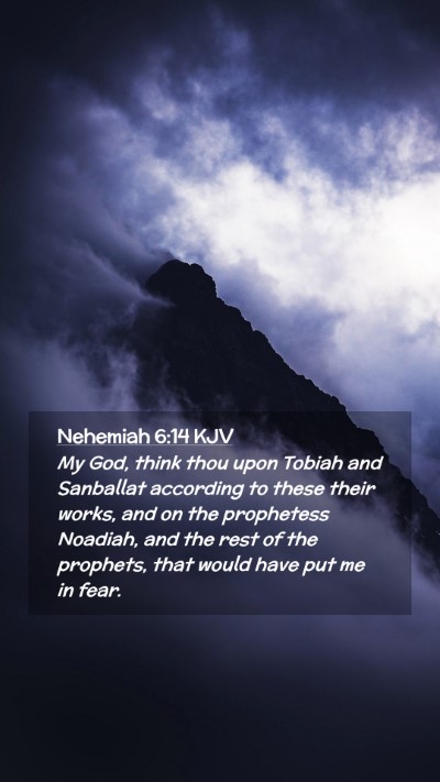 Picture 02 - Nehemiah 6:14 KJV Mobile Phone Wallpaper - My God, think thou upon Tobiah and Sanballat - Mobile Bible Verse Wallpaper