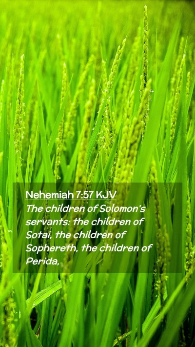 Picture 02 - Nehemiah 7:57 KJV Mobile Phone Wallpaper - The children of Solomon's servants: the children - Mobile Bible Verse Wallpaper