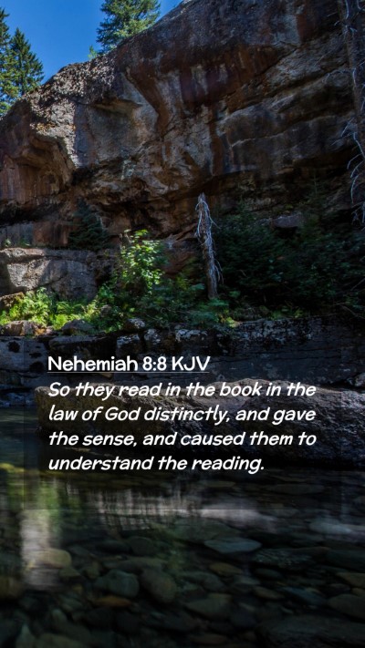 Picture 02 - Nehemiah 8:8 KJV Mobile Phone Wallpaper - So they read in the book in the law of God - Mobile Bible Verse Wallpaper
