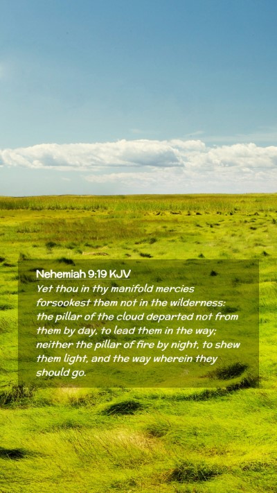 Picture 02 - Nehemiah 9:19 KJV Mobile Phone Wallpaper - Yet thou in thy manifold mercies forsookest them - Mobile Bible Verse Wallpaper