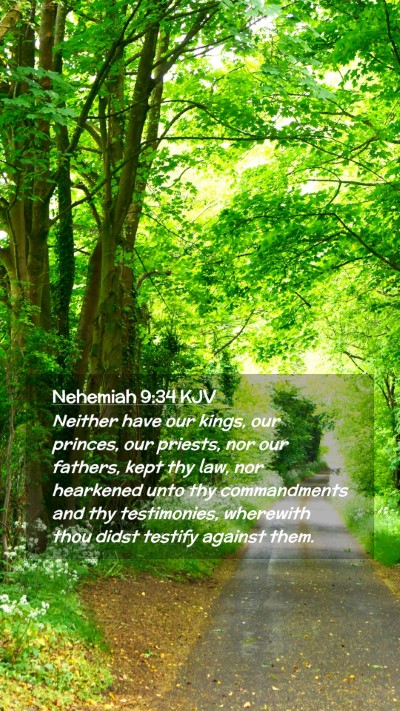 Picture 02 - Nehemiah 9:34 KJV Mobile Phone Wallpaper - Neither have our kings, our princes, our priests, - Mobile Bible Verse Wallpaper