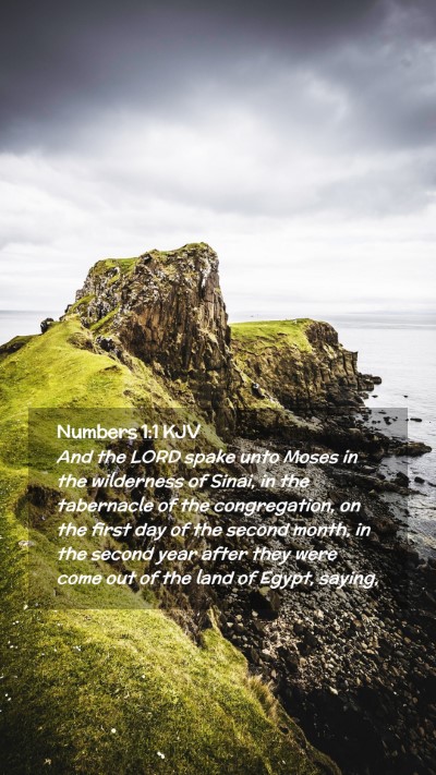Picture 02 - Numbers 1:1 KJV Mobile Phone Wallpaper - And the LORD spake unto Moses in the wilderness - Mobile Bible Verse Wallpaper