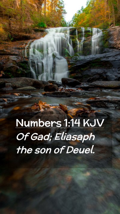 Picture 02 - Numbers 1:14 KJV Mobile Phone Wallpaper - Of Gad; Eliasaph the son of - Mobile Bible Verse Wallpaper