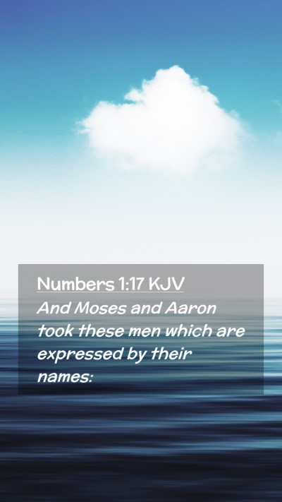 Picture 02 - Numbers 1:17 KJV Mobile Phone Wallpaper - And Moses and Aaron took these men which are - Mobile Bible Verse Wallpaper