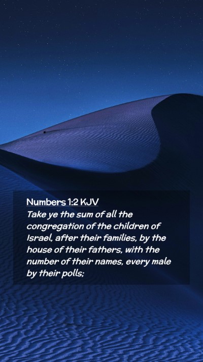 Picture 02 - Numbers 1:2 KJV Mobile Phone Wallpaper - Take ye the sum of all the congregation of the - Mobile Bible Verse Wallpaper