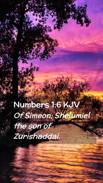Picture 02 - Numbers 1:6 KJV Mobile Phone Wallpaper - Of Simeon; Shelumiel the son of - Mobile Bible Verse Wallpaper