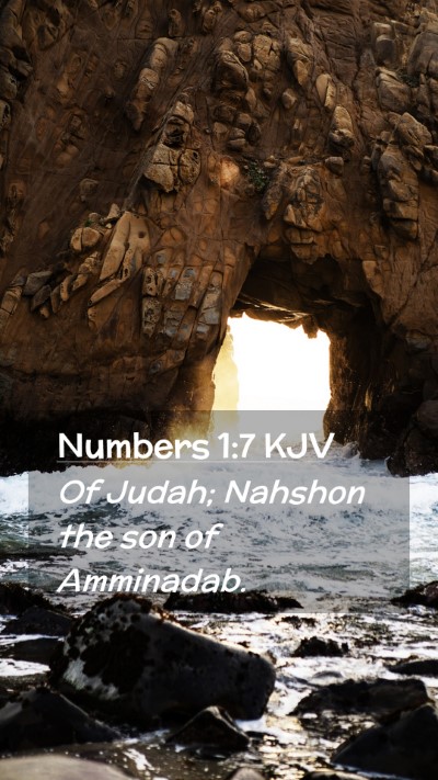 Picture 02 - Numbers 1:7 KJV Mobile Phone Wallpaper - Of Judah; Nahshon the son of - Mobile Bible Verse Wallpaper
