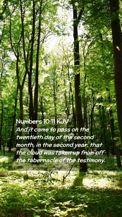 Picture 02 - Numbers 10:11 KJV Mobile Phone Wallpaper - And it came to pass on the twentieth day of the - Mobile Bible Verse Wallpaper