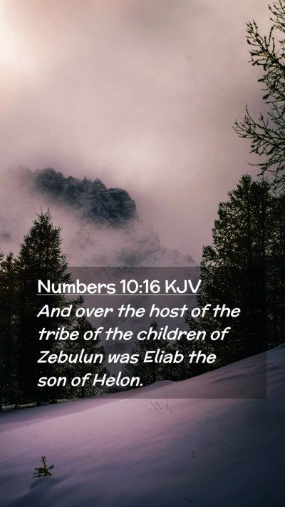 Picture 02 - Numbers 10:16 KJV Mobile Phone Wallpaper - And over the host of the tribe of the children of - Mobile Bible Verse Wallpaper