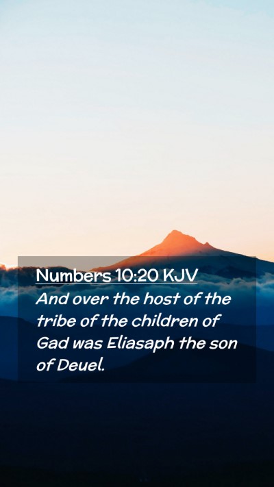 Picture 02 - Numbers 10:20 KJV Mobile Phone Wallpaper - And over the host of the tribe of the children of - Mobile Bible Verse Wallpaper