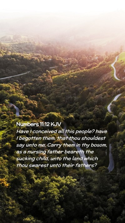 Picture 02 - Numbers 11:12 KJV Mobile Phone Wallpaper - Have I conceived all this people? have I begotten - Mobile Bible Verse Wallpaper
