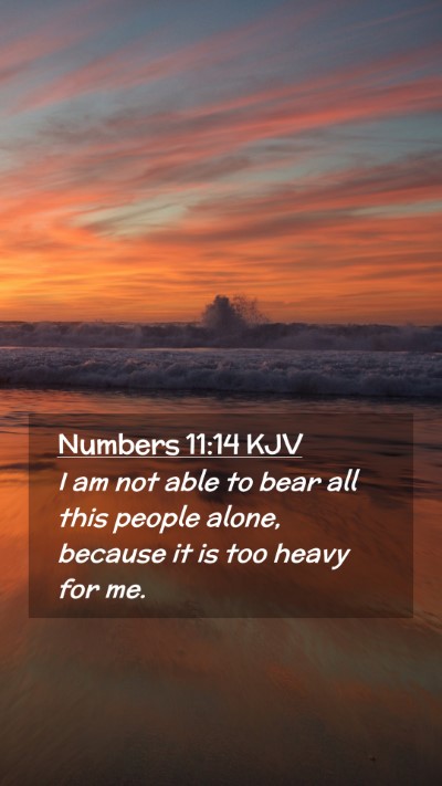 Picture 02 - Numbers 11:14 KJV Mobile Phone Wallpaper - I am not able to bear all this people alone, - Mobile Bible Verse Wallpaper