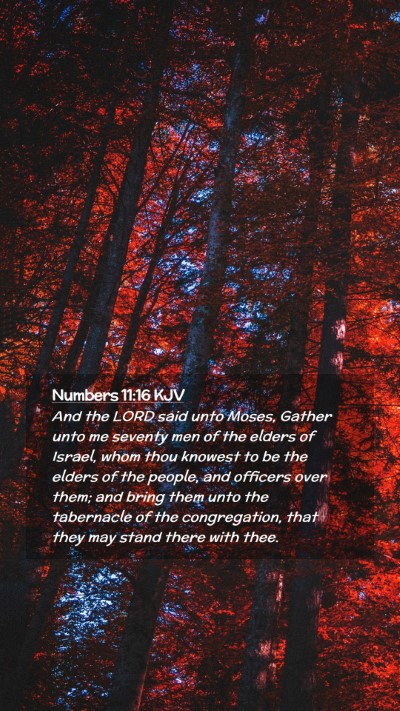 Picture 02 - Numbers 11:16 KJV Mobile Phone Wallpaper - And the LORD said unto Moses, Gather unto me - Mobile Bible Verse Wallpaper