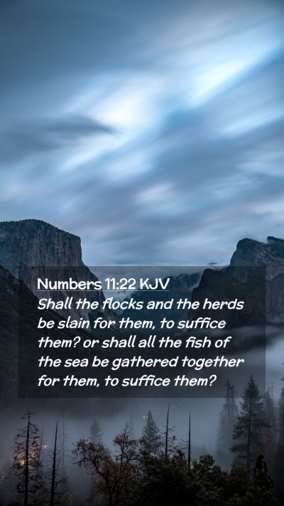 Picture 02 - Numbers 11:22 KJV Mobile Phone Wallpaper - Shall the flocks and the herds be slain for them, - Mobile Bible Verse Wallpaper