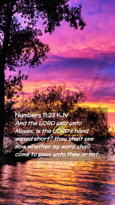 Picture 02 - Numbers 11:23 KJV Mobile Phone Wallpaper - And the LORD said unto Moses, Is the LORD's hand - Mobile Bible Verse Wallpaper