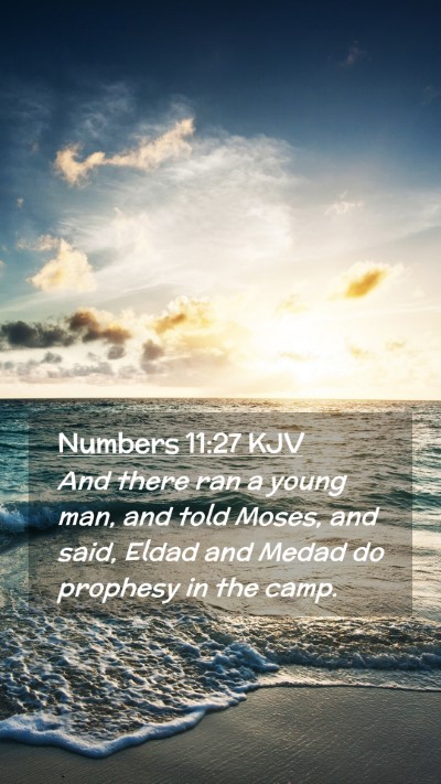 Picture 02 - Numbers 11:27 KJV Mobile Phone Wallpaper - And there ran a young man, and told Moses, and - Mobile Bible Verse Wallpaper