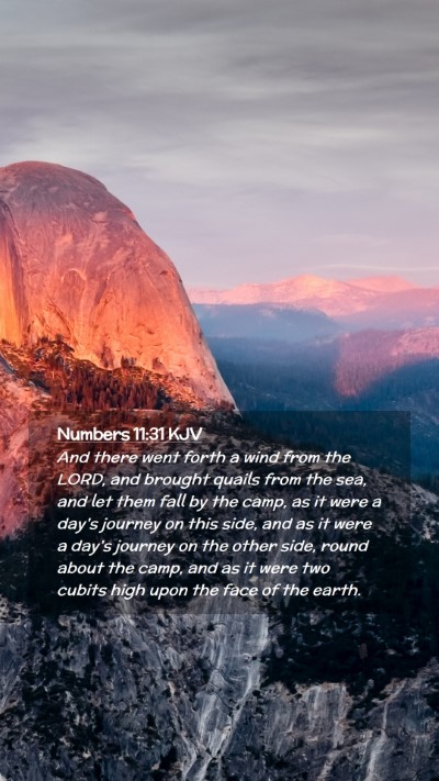 Picture 02 - Numbers 11:31 KJV Mobile Phone Wallpaper - And there went forth a wind from the LORD, and - Mobile Bible Verse Wallpaper